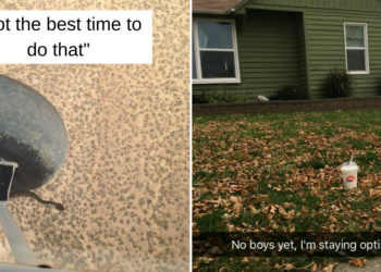 Reddit