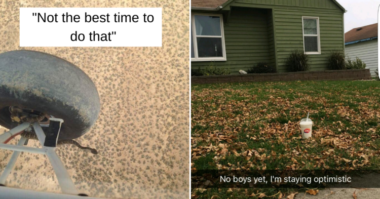 Reddit