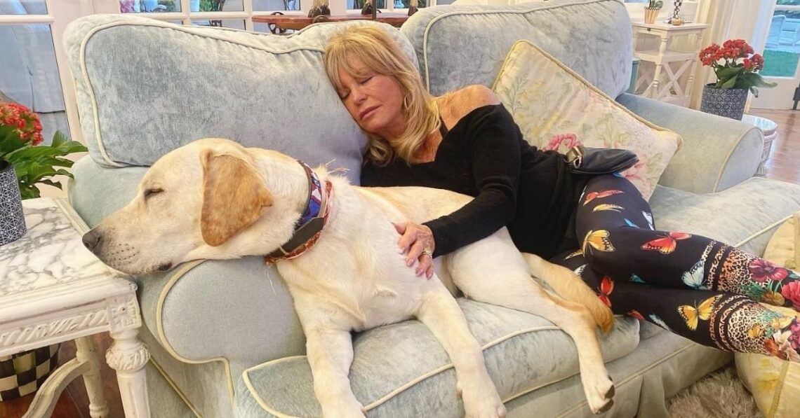 Instagram | @goldiehawn
