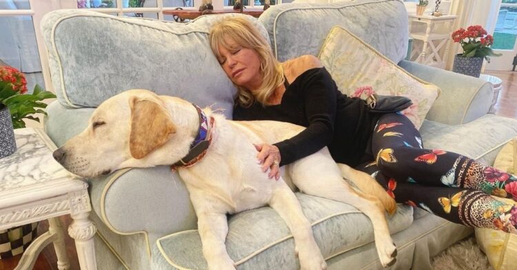Instagram | @goldiehawn