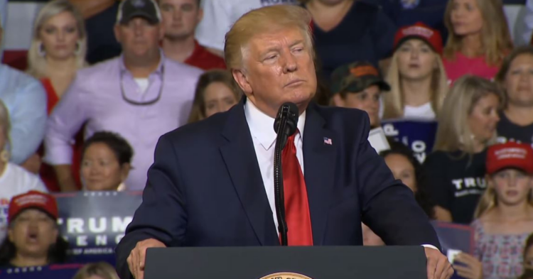 YouTube | MSNBC