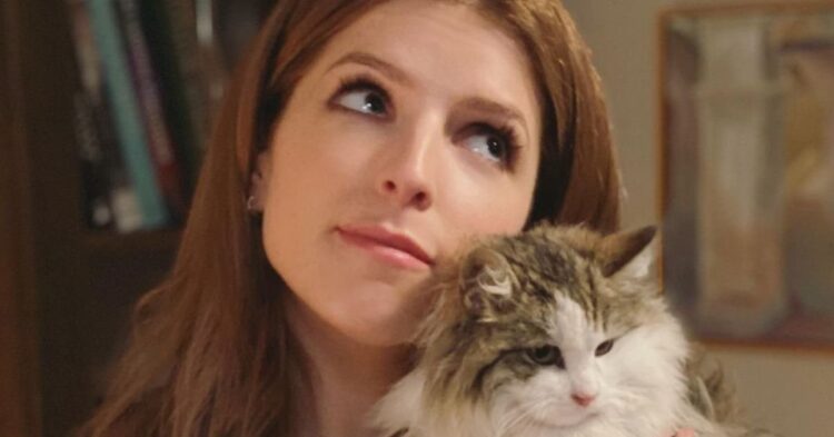 Instagram | @annakendrick47