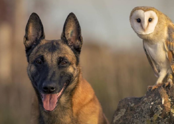 Instagram | @tanja_brandt