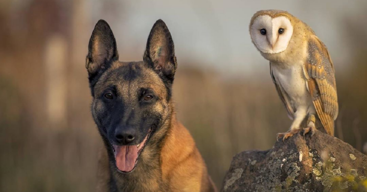 Instagram | @tanja_brandt