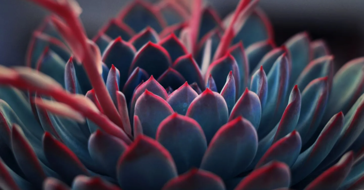 Unsplash