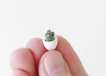 Etsy | TierraSolStudio