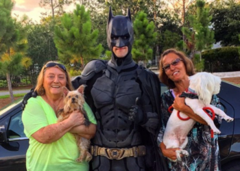 Instagram | @batman4paws