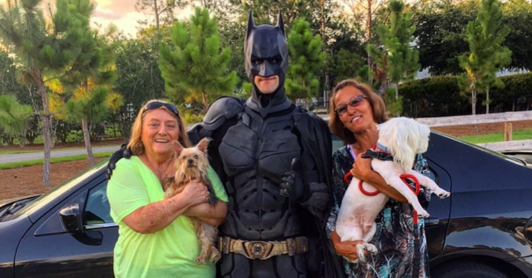 Instagram | @batman4paws