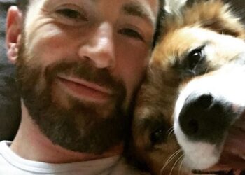 Instagram | @chrisevans