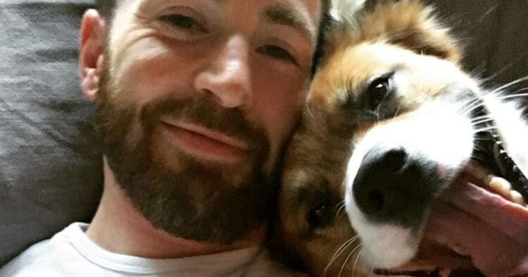 Instagram | @chrisevans