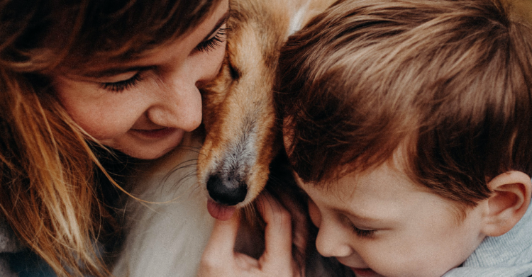 Pexels | Mary Nikitina