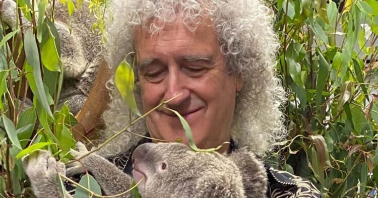 Instagram | @brianmayforreal
