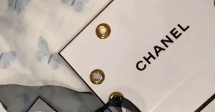 TikTok | @chantelmaguire