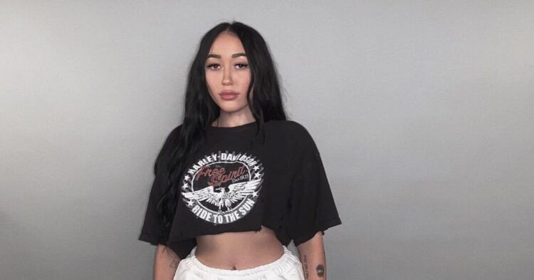 Instagram | @noahcyrus