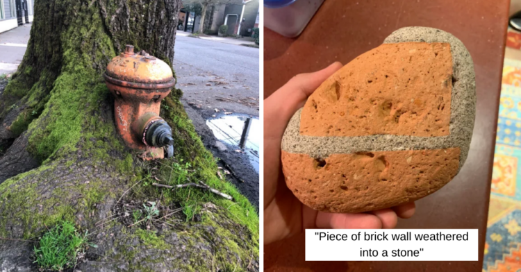 Reddit