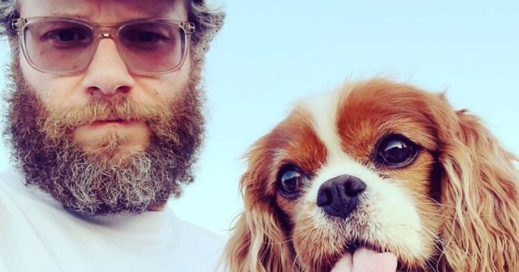Instagram | @sethrogen