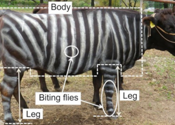 PLoS ONE | Kojima et al.
