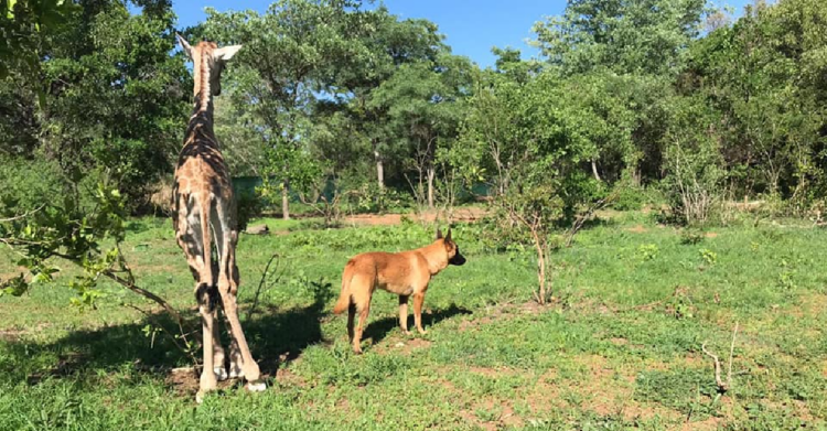 Facebook | The Rhino Orphanage