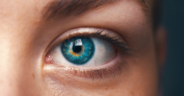 Unsplash | Amanda Dalbjörn