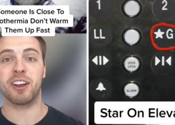 TikTok | @knowledgesaurus