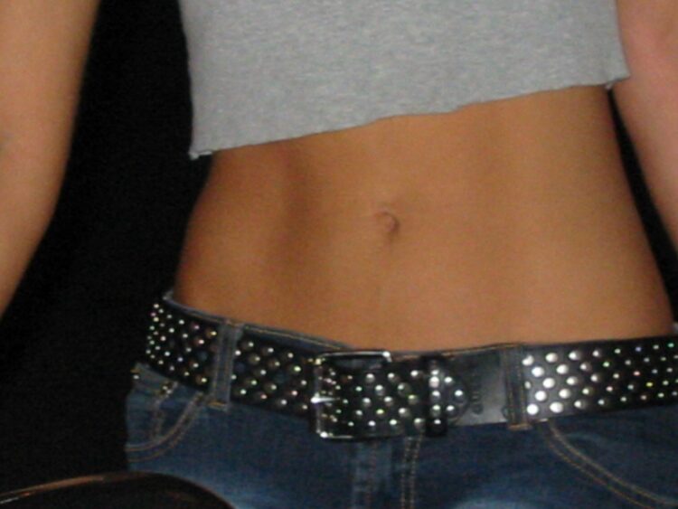 Wikimedia | https://commons.wikimedia.org/wiki/File:Crop_top_-_Stomach_(2).jpg