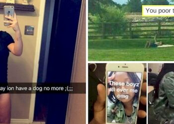 Imgur