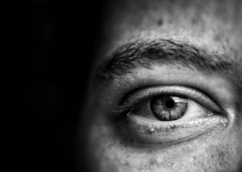 Unsplash | Jose A.Thompson
