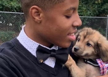 GoFundMe | Dazhai Brown
