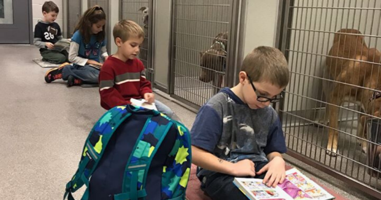 Facebook | Ingham County Animal Control and Shelter