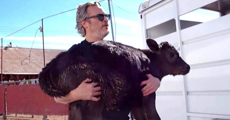 YouTube | farmsanctuary
