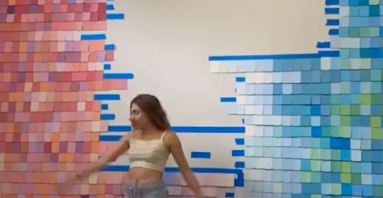 TikTok | @skylarcapri