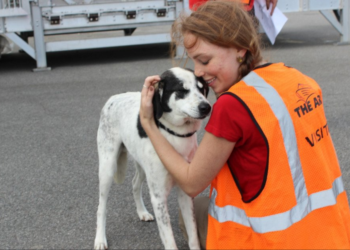 Facebook | SPCA International