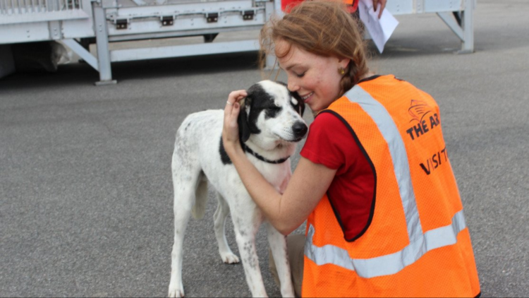 Facebook | SPCA International