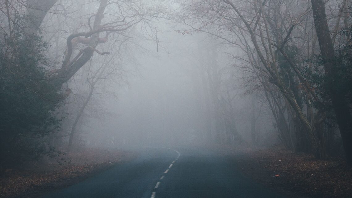 Unsplash | Annie Spratt