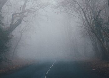 Unsplash | Annie Spratt