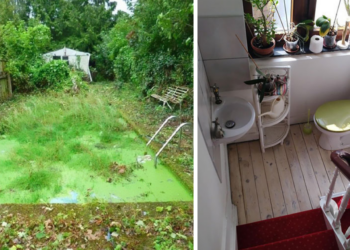 Terrible Real Estate Agent Photographs