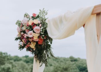 Unsplash | Samantha Gades