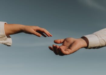 Unsplash | Hanna Morris