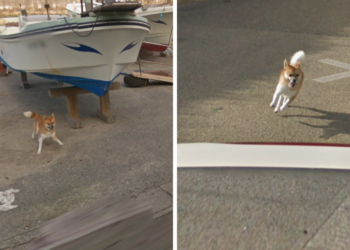 Google Street View