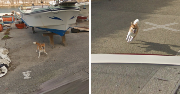 Google Street View