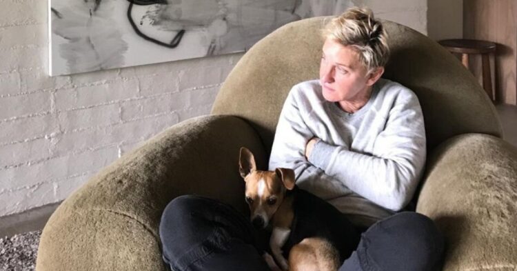 Twitter | @TheEllenShow