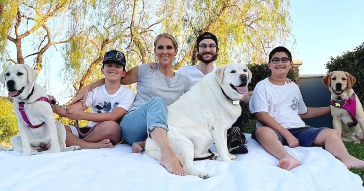 Instagram | @celinedion