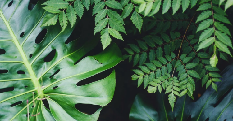 Unsplash