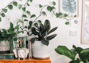 Unsplash | Prudence Earl