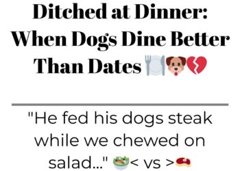 Diply | Diply