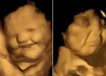 People  | Durham University Fetal and Neonatal Research Lab