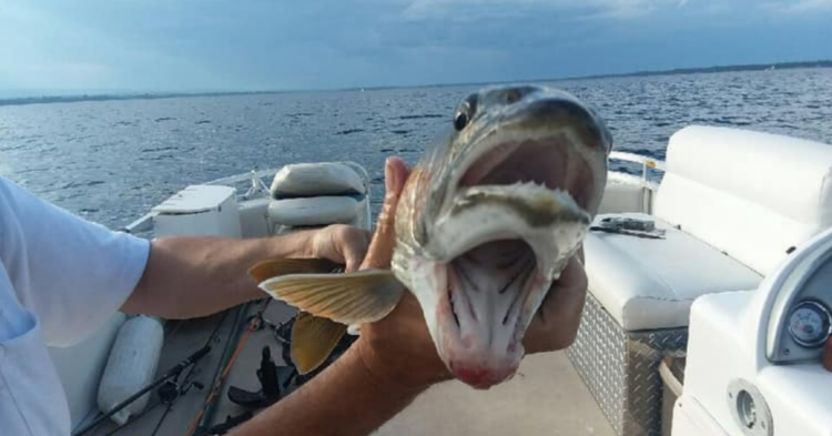 Facebook | Knotty Boys Fishing