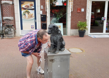 Reddit | d_nijmegen