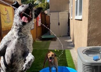 reddit | Clean-Laugh4131