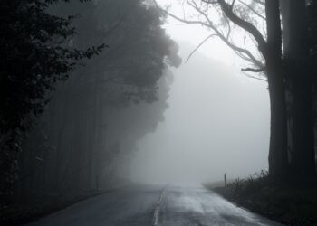 Unsplash | Michael Mouritz